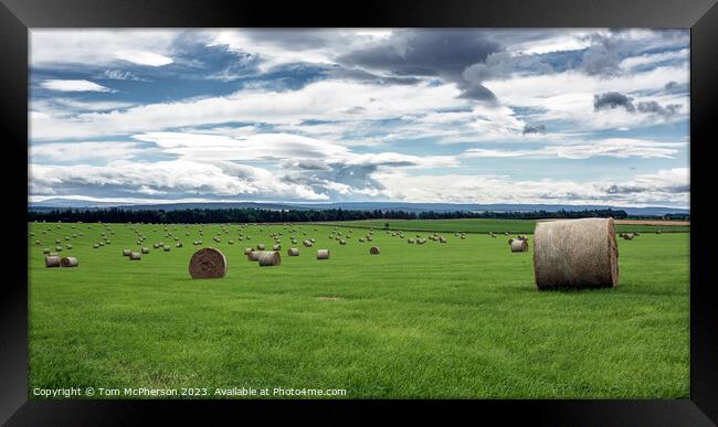 Harvested Resilience: Hay Bales in Moray Framed Print by Tom McPherson