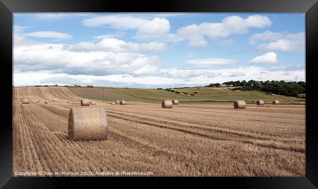 Harvest Echoes in Moray Countryside Framed Print by Tom McPherson