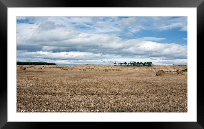 Harvest Time: A Vibrant Moray Hayfield Framed Mounted Print by Tom McPherson