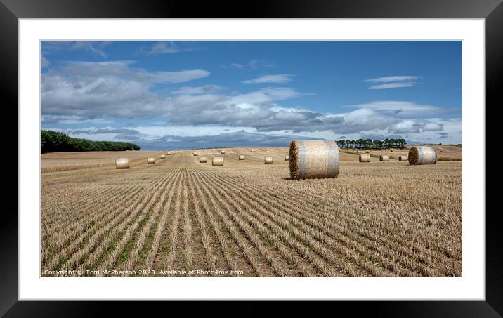 Harvest's Bounty: Hay Bales in Moray Framed Mounted Print by Tom McPherson