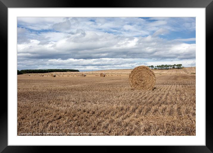 Hay Harvest: Moray's Heartbeat of Agriculture Framed Mounted Print by Tom McPherson