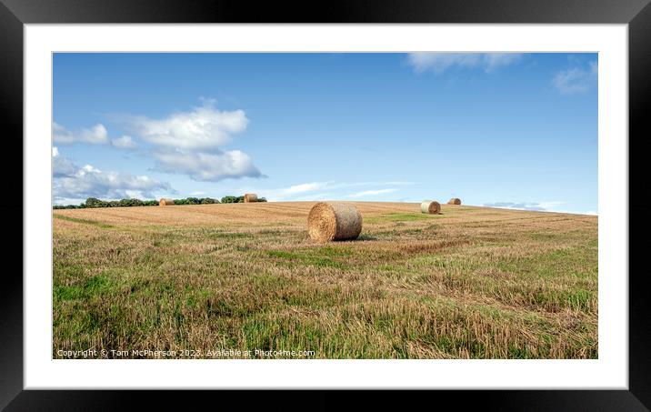 Rustic Harvest Charm: Duffus Countryside Framed Mounted Print by Tom McPherson