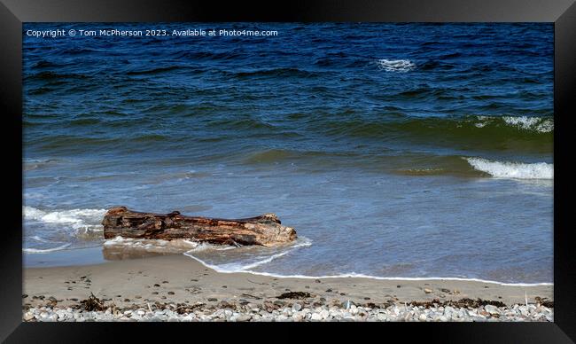 Sand-Kissed Driftwood: Nature's Artistry Framed Print by Tom McPherson