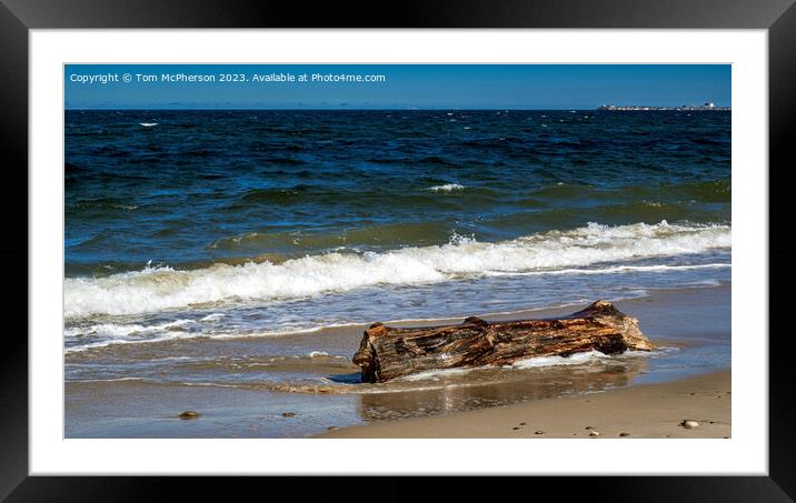 Ancient Driftwood: Moray's Beach Treasure Framed Mounted Print by Tom McPherson