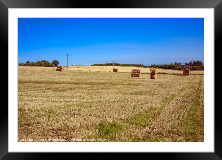 Bountiful Harvest, Lossiemouth Fields Framed Mounted Print by Tom McPherson