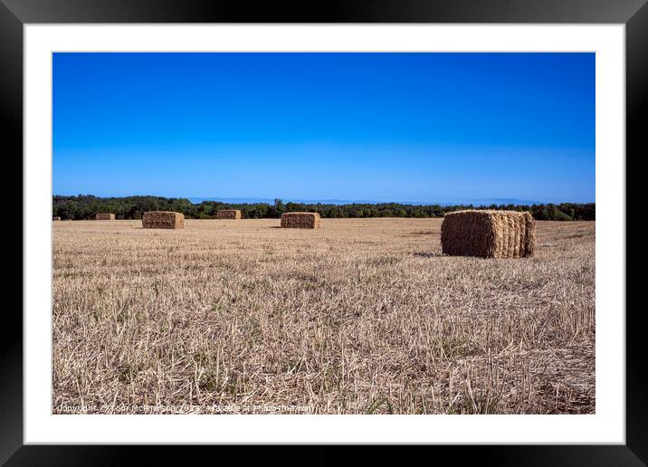 Harvest Bales  at Duffus Framed Mounted Print by Tom McPherson