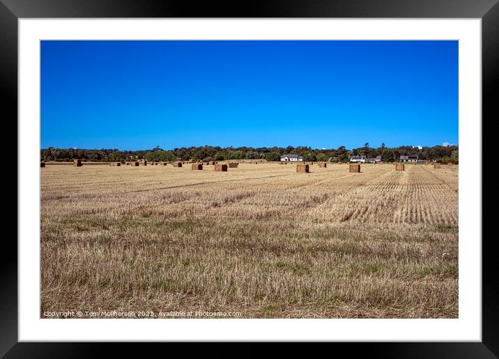 Harvest's Bounty: Duffus Field's Golden Bales Framed Mounted Print by Tom McPherson