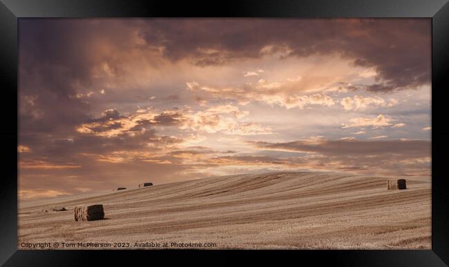 Golden Twilight Over Harvested Fields Framed Print by Tom McPherson