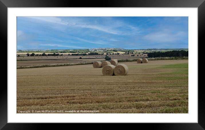Soaring Over Kintrae: Scottish Pastoral Panorama Framed Mounted Print by Tom McPherson