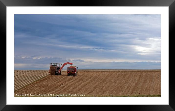 Moray Harvest Framed Mounted Print by Tom McPherson