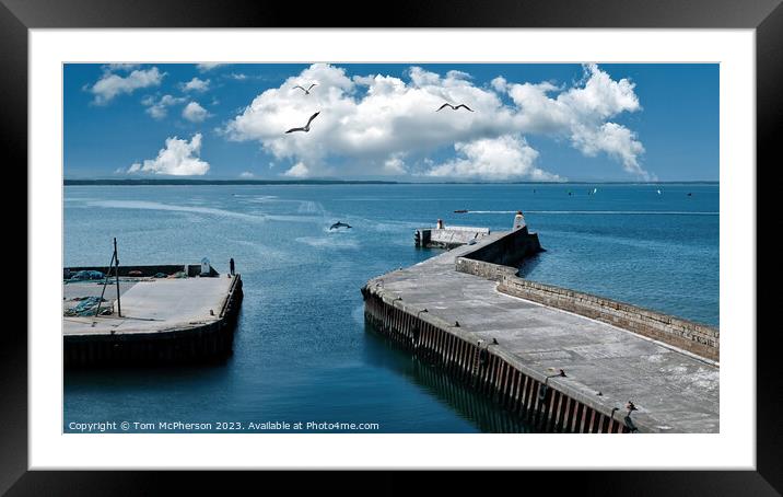 Life on Burghead Bay Framed Mounted Print by Tom McPherson