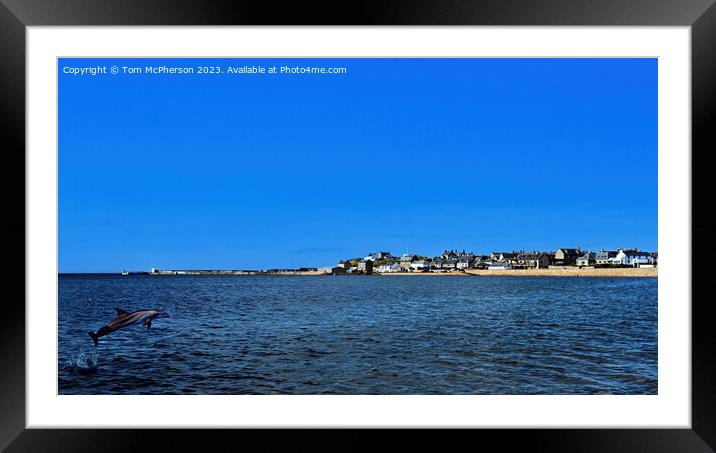 Burghead Bay and Dolphin Framed Mounted Print by Tom McPherson