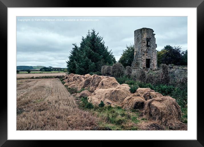 Kinloss Abbey, Moray Framed Mounted Print by Tom McPherson
