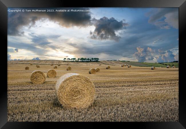 Moray Landscape Framed Print by Tom McPherson