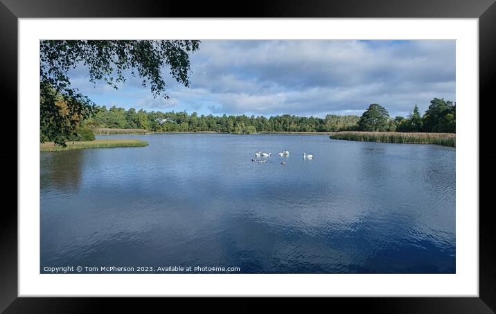 Loch of Blairs, Moray Framed Mounted Print by Tom McPherson