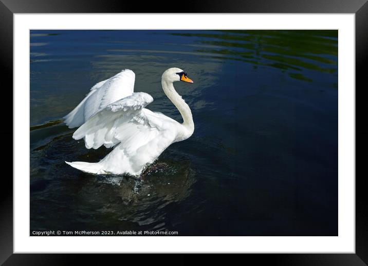 Ride a White Swan Framed Mounted Print by Tom McPherson