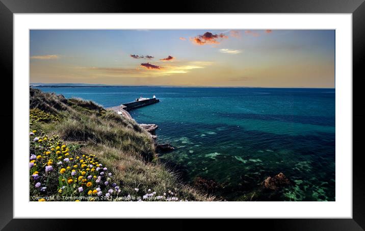 Solitude on the Moray Firth Framed Mounted Print by Tom McPherson