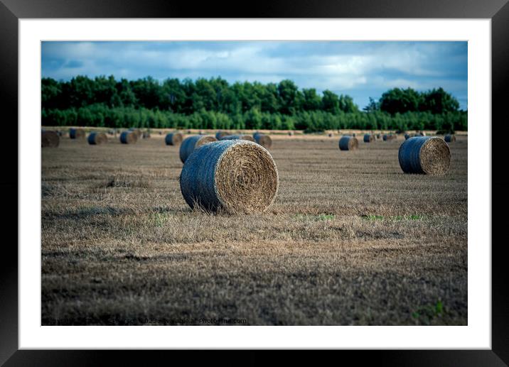 Bales of Hay in a Field Framed Mounted Print by Tom McPherson