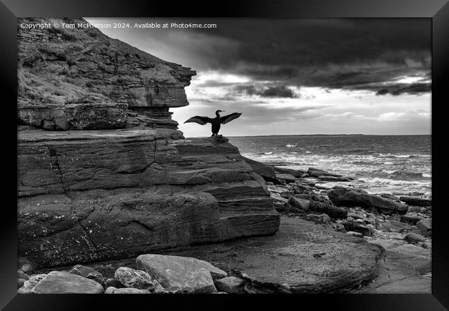 Burghead View Framed Print by Tom McPherson