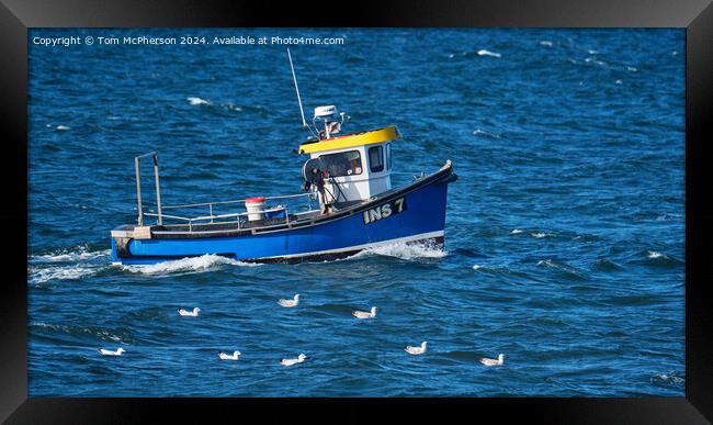 Lobster Fishing Boat Burghead Framed Print by Tom McPherson