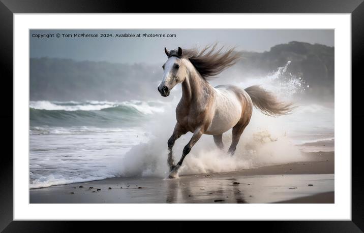 Marwari Horse on beach Framed Mounted Print by Tom McPherson