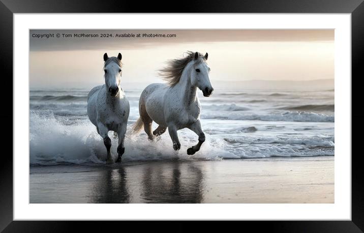 The Andalusian horse Framed Mounted Print by Tom McPherson