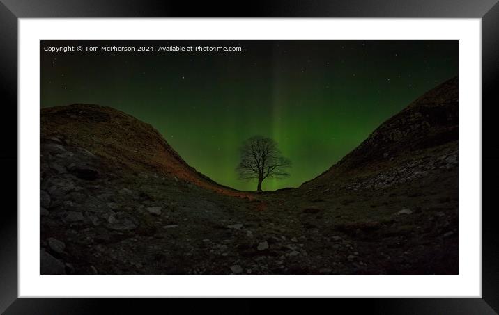 Aurora at the Sycamore Gap tree  Framed Mounted Print by Tom McPherson
