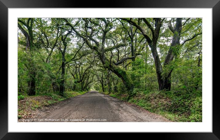 Botany Bay Road Framed Mounted Print by Tom McPherson