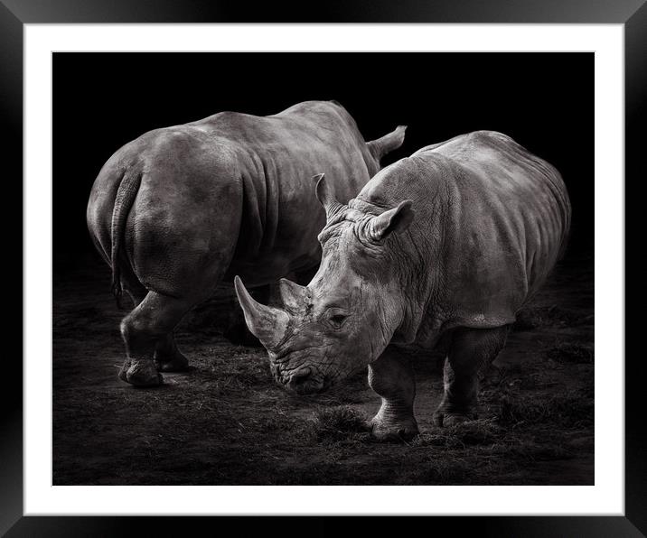 White Rhinos Framed Mounted Print by Abeselom Zerit