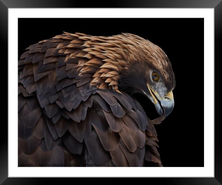 Golden Eagle IV Framed Mounted Print by Abeselom Zerit