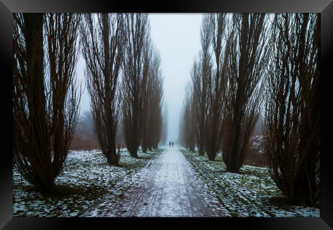 Symetric walk path in fog Framed Print by Dalius Baranauskas