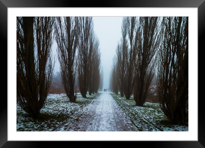 Symetric walk path in fog Framed Mounted Print by Dalius Baranauskas