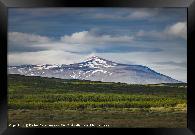 Icelandic landscape in Tingvallir Framed Print by Dalius Baranauskas