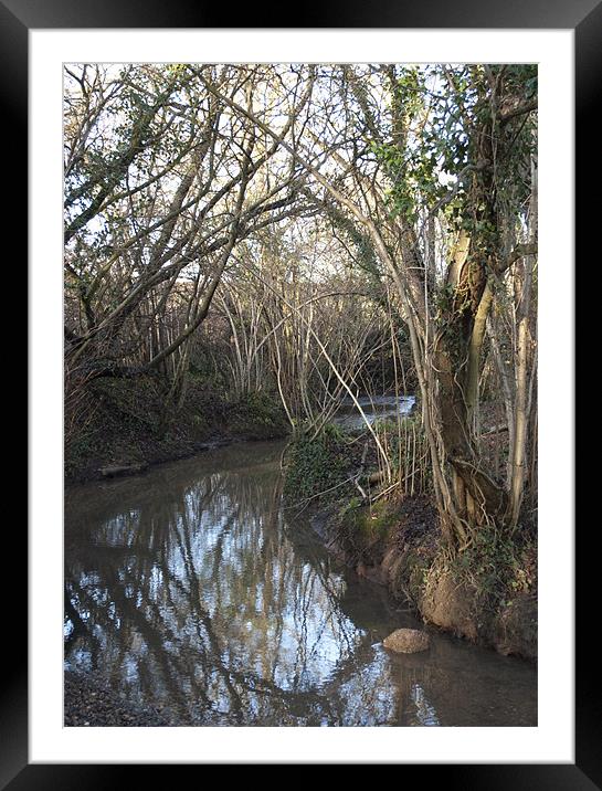 Stream through Trees #2 Framed Mounted Print by Michael Carn