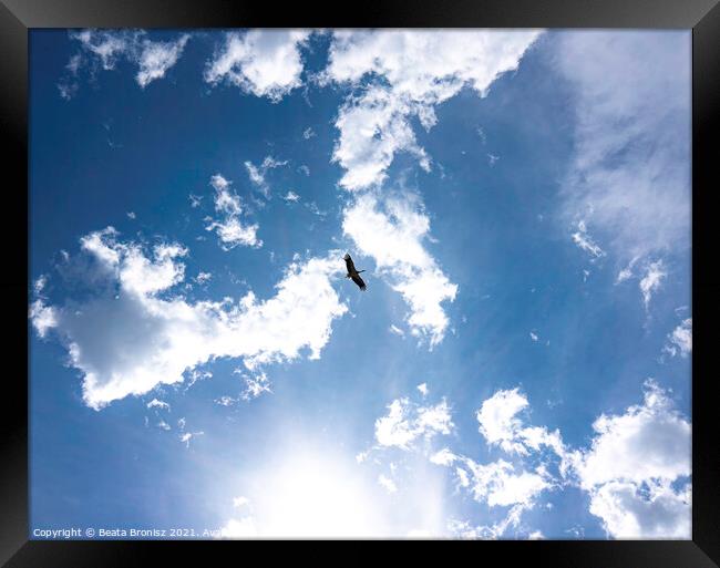 Stork in the sky Framed Print by Beata Bronisz