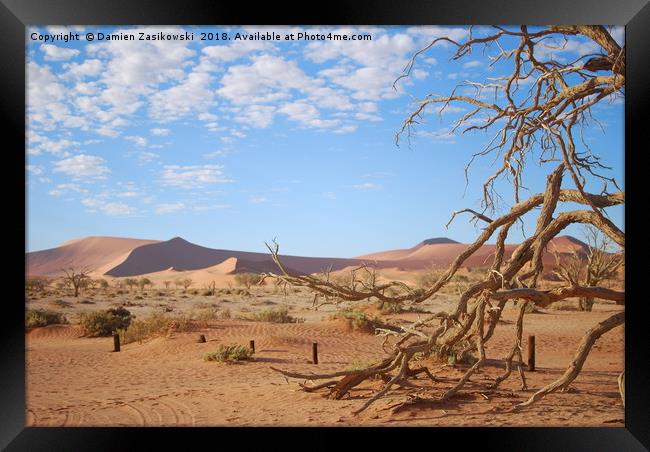 Dead tree in the namib desert Framed Print by Damien Zasikowski