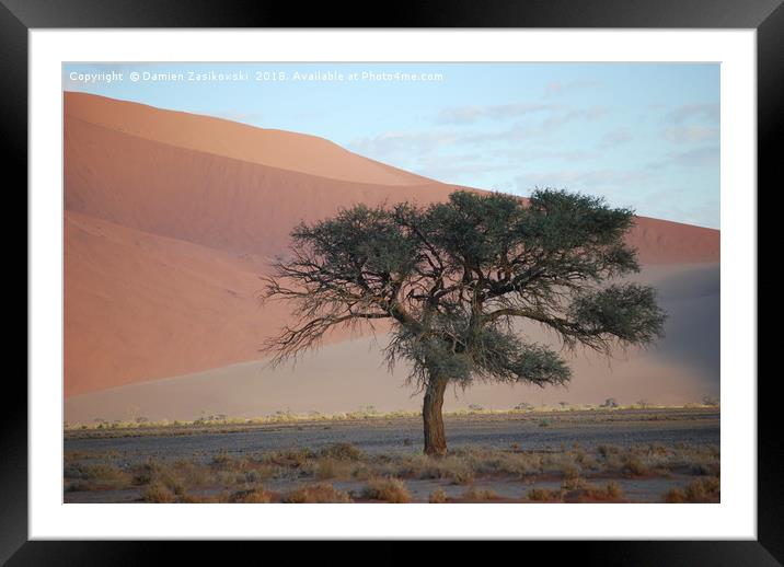 Soletary tree in the Namibian desert Framed Mounted Print by Damien Zasikowski