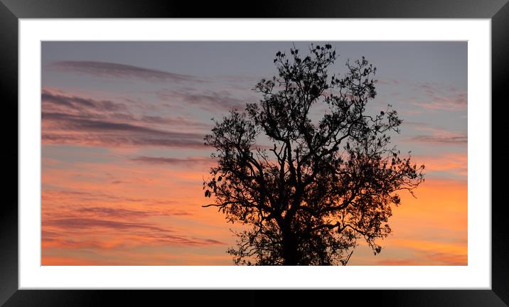 Sunset Sky over Uttoxeter Framed Mounted Print by David Jeffery
