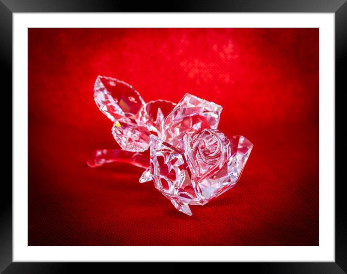 Crystal Rose Framed Mounted Print by David Jeffery