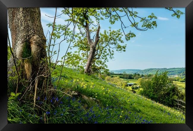 Spring flowers on High Tor, Matlock, Derbyshire Framed Print by Lisa Hands