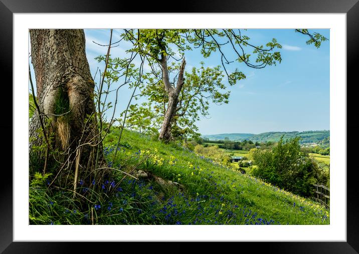 Spring flowers on High Tor, Matlock, Derbyshire Framed Mounted Print by Lisa Hands