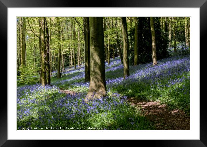 Bluebell Wood, Moss Valley 5 Framed Mounted Print by Lisa Hands