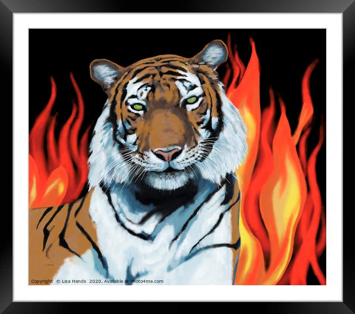 Tiger! Tiger! burning bright Framed Mounted Print by Lisa Hands