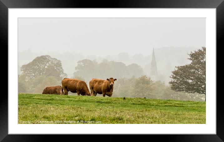 Misty Derbyshire Framed Mounted Print by Lisa Hands
