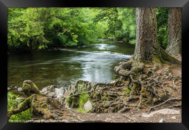 River Llugwy, Betws-y-Coed, Wales Framed Print by Lisa Hands