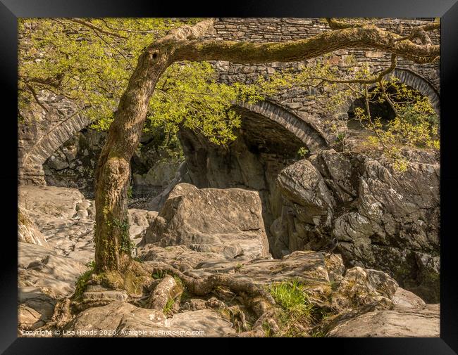 Pont-y-Pair - Bridge of the Cauldron Framed Print by Lisa Hands