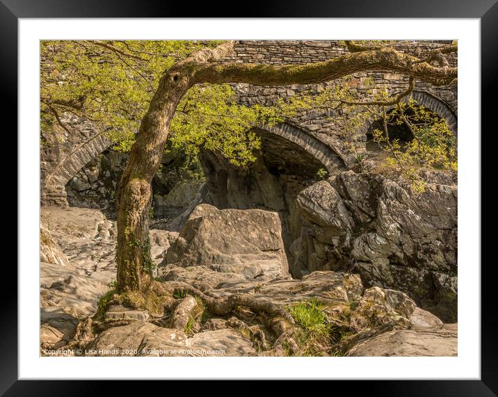 Pont-y-Pair - Bridge of the Cauldron Framed Mounted Print by Lisa Hands