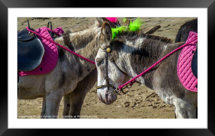 Seaside Donkeys Framed Mounted Print by Lisa Hands