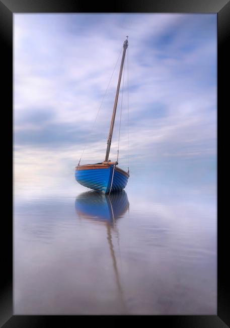 Alone in isolation  Framed Print by Ray Tickle