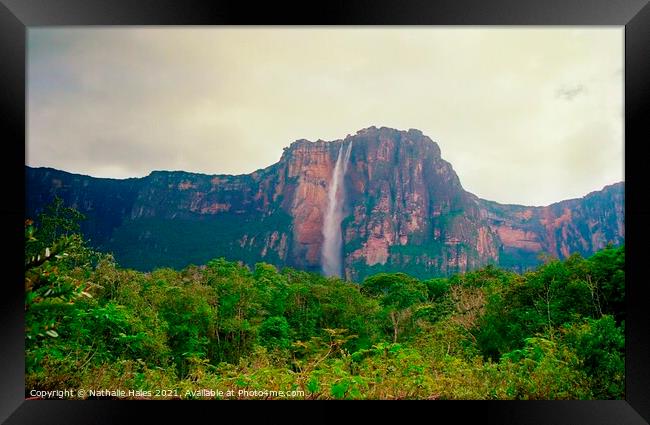 The Angel Falls, Venezuela Framed Print by Nathalie Hales